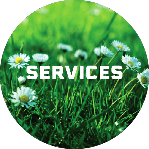 Green-gold-landscaping-WA-Services