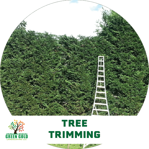 Tree-trimming-garden-services-patio-yard-landscaping