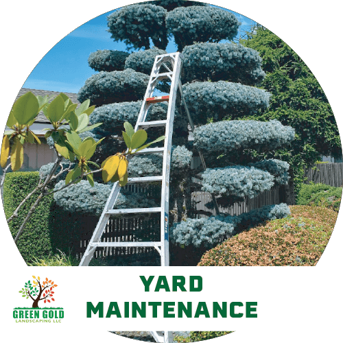 Yard-garden-patio-tarcys-lawn-maintenance-services-icon