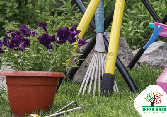 clean-up-garden-patio-maintenance-service