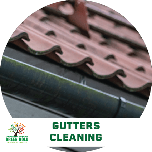 gutters-cleaning-garden-green-gold-landscaping-maintenance-services-patio-yard-icon