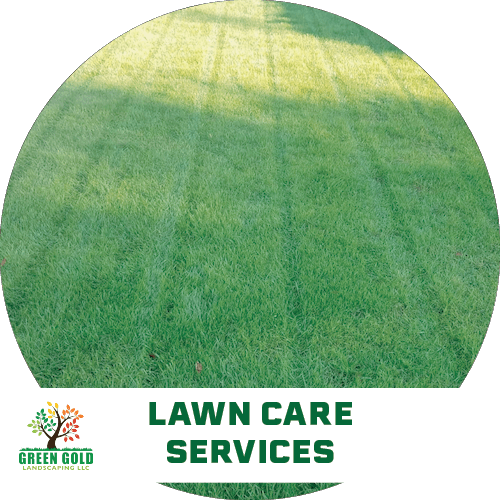 lawn-care-services-garden-patio-maintenance-Mowing-aeration-seeding-weed-control-services-icon